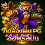 ทดลองเล่นสล็อต pg ซื้อฟรีสปิน ฟรีสปินไม่จำกัด